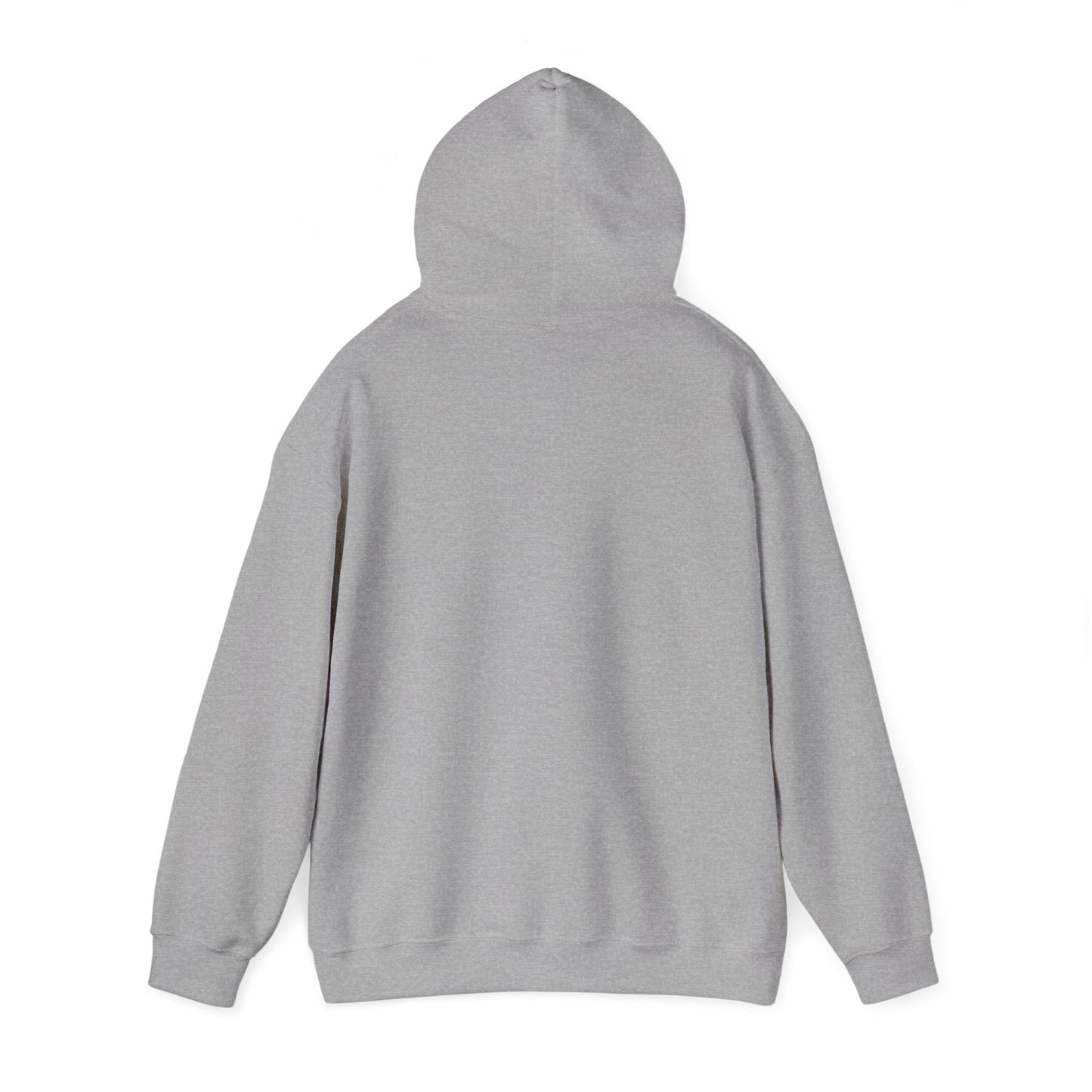 Adult Jesus is the Force Hoodie